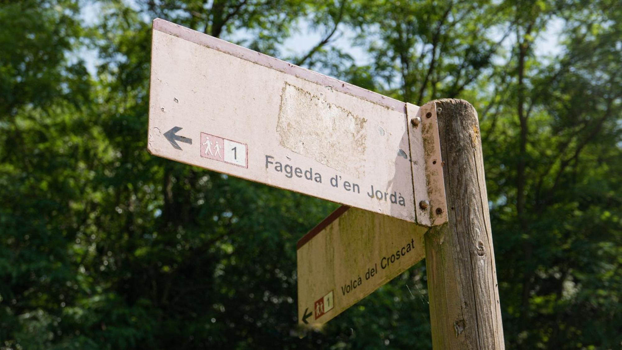Can Baseia - Amb Jardi I Acces Privat A La Fageda Santa Pau Buitenkant foto